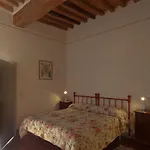 Podere Violino Agroturismo Sansepolcro