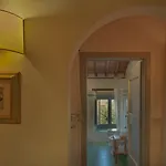 Podere Violino Sansepolcro