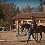 Podere Violino