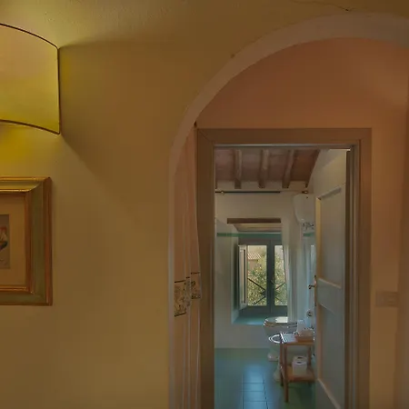 Podere Violino Sansepolcro