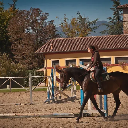 Podere Violino * Sansepolcro