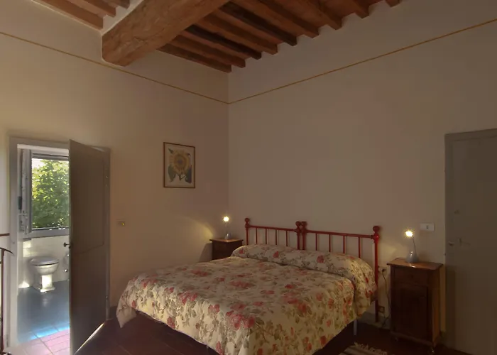 Podere Violino Alloggio per agriturismo Sansepolcro