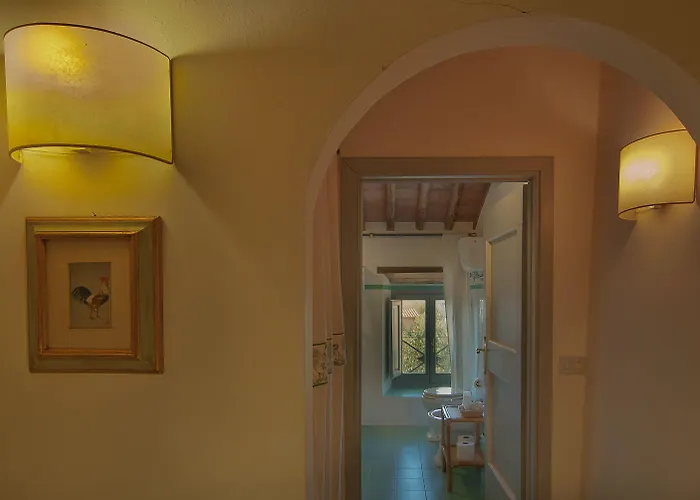 Podere Violino Sansepolcro