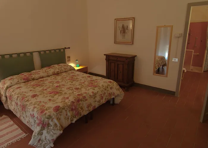 Podere Violino * Sansepolcro